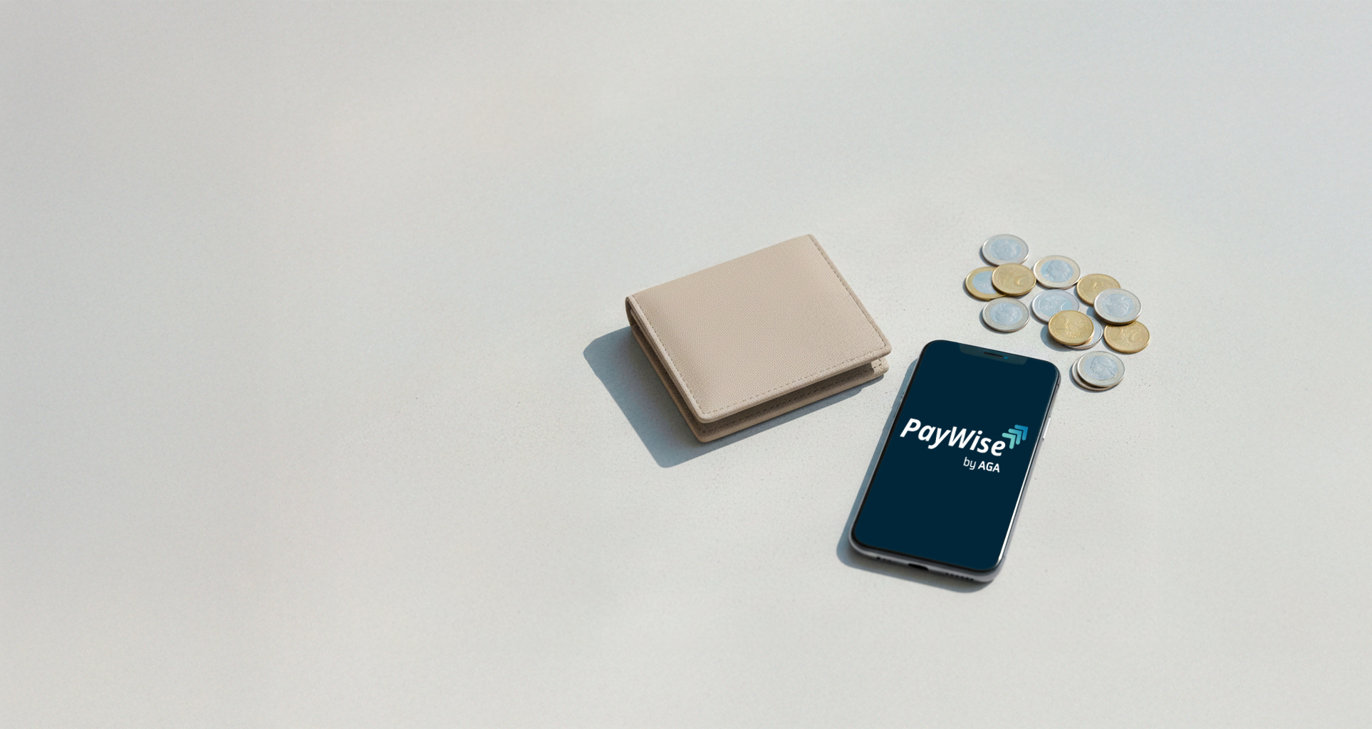 PayWise Wallet